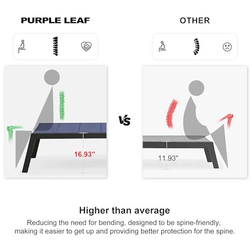 Image of PURPLE LEAF Extra Large Outdoor Chaise Lounge 2 Pieces Aluminum Patio Lounge Chair with Wheels Reclining Chair for Patio Pool Beach Sunbathing Navy Blue Oversized Lounger