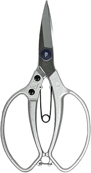 مقص الرمح وجاكسون 4452JS Razorsharp اليابانية النمط ، الفضة