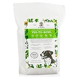 Dr. Harvey's Veg-to-Bowl Dog Food, Human Grade Dehydrated Base Mix for Dogs, Grain Free Holistic Mix (3 Pound)