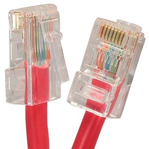 Cable Patch Cat.5E UTP 100 pies Rojo