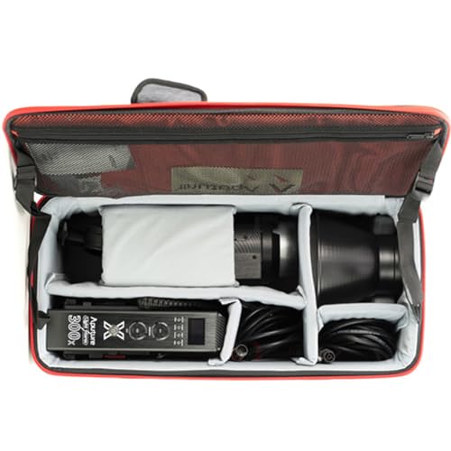 Aputure LS 300X