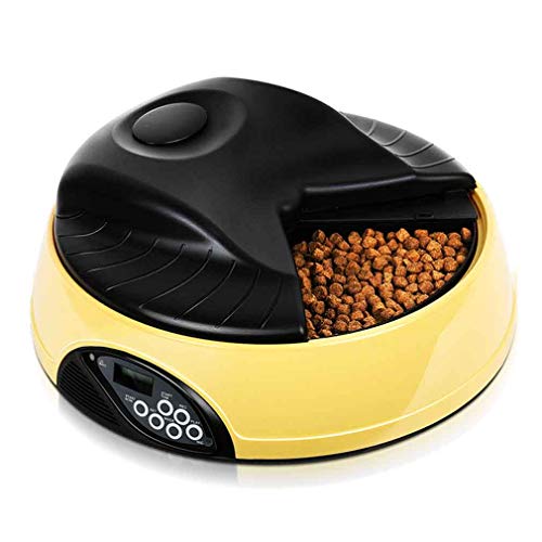 Mangeoire pour chats chronométrée pour réguler les repas des animaux gloutons