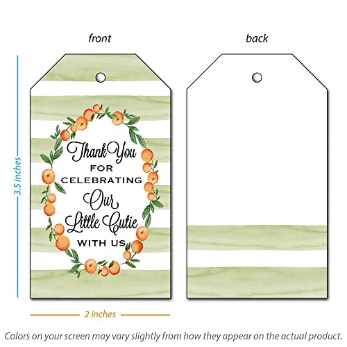25 Tags For Baby Shower Or Birthday Party Favors, Orange Clementine - Thanks For Celebrating Our Little Cutie - Green Stripes #TOP1