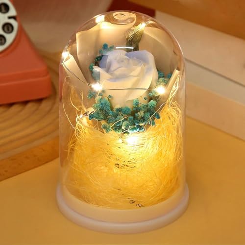 Fleurs éternelles roses stabilisées avec éclairage LED de nuit - 4