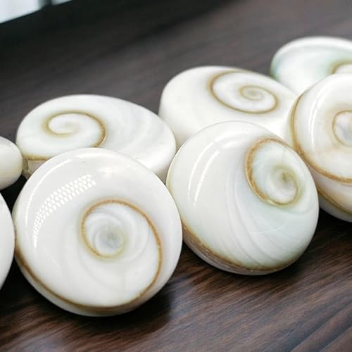 ABCGEMS Premium-Grade Shiva Eye Shell Beads - Protective Door of Snail Shell - 100% Organic (Each Bead Made from 2 Gigantic Operculum Shells - Matching Spiral Matrix) Doublet Coin 12mm