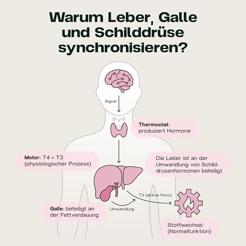 Revocelo Leber-Komplex mit TUDCA - Schilddrüsen-Umwandler - 9-fach-Formel + liposomales Glutathion, Cholin und Selen - vegan und produziert in Europa - 60 Kapseln