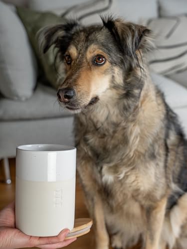 TrendPet Clay Snackdose, Snackdose für Hunde mit Bambus-Deckel