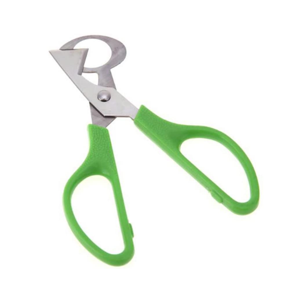 Ciseaux à Œufs De Caille KGDUYC - Lot De 2 En Acier Inoxydable Noir Et Blanc