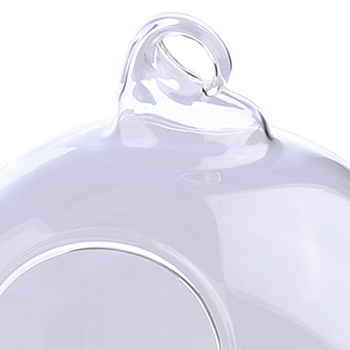 Haoun Hanging Betta Fish Tank Creative Fish Vase Glass Transparent Goldfish Bowl Home Decoration Bracket (White Bracket) #TOP4