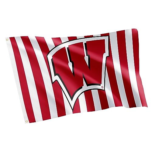 Desert Cactus University of Wisconsin Flag Badgers UW Madison Banners 100% Polyester Indoor Outdoor 3x5 feet Flags (Design B)