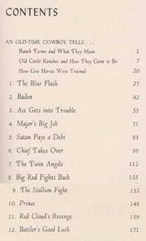 Hardcover Wild horses of the Rio Grande; Book