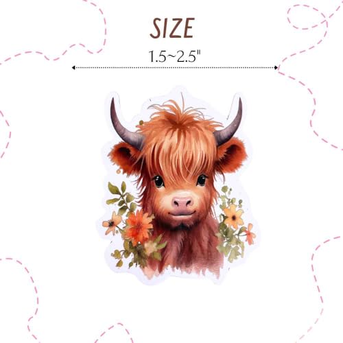 Imanes Decorativos de Vacas Highland Paquete 8 Piezas miniatura 2
