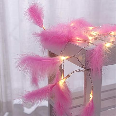Feather Lights Warm White LED Fairy Lights String Lights Wedding Bedroom Party Christmas Decoration Battery Operated 2 M 20 LED (Pink) Cover