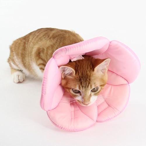 Image of POPETPOP Flower Shaped Protective Collar for Dogs Anti-Lick Recovery Neck Cover Lightweight Elizabethan Collar Alternative for Scratching Wounds Rashes and Post-Surgery Care 15.35 X 11.02 X 0.51 in