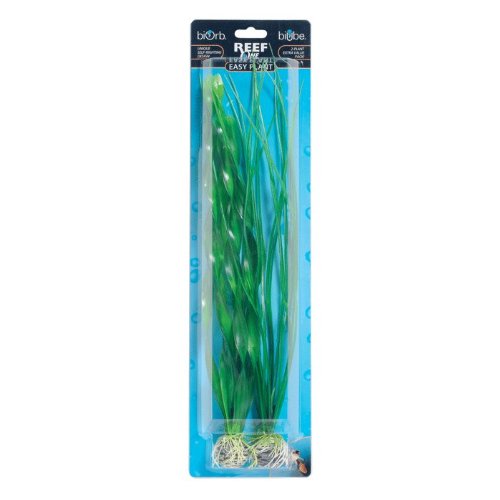 Biorb Easy Plant Pack, Large #TOP3