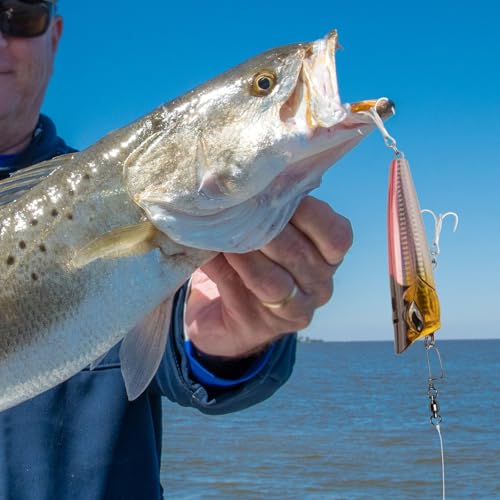 Roulements à billes de pêche 178lb anti-corrosion avec agrafe renforcée - 7