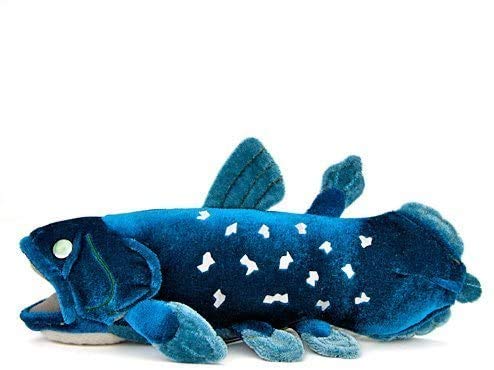 カロラータ　シーラカンス 深海生物 マスコット シーラカンス│動物 カロラータ オンライン