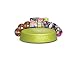 Zumba Fitness Incredible Results Deluxe DVD System