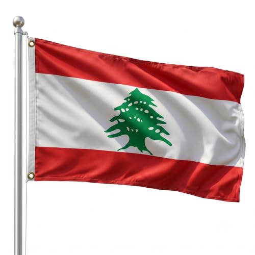 DMSE Lebanon National Flag 2ft x 3ft - Fade-Resistant Outdoor & Indoor Flag - Quad-Stitched Fly End & Heavy-Duty Brass Grommets (2ft x 3ft)