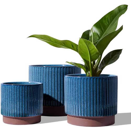 Image of LE TAUCI Ceramic Pots for Plants, 8+6.7+5.5 Inch Plant Pots Indoor, Flower Pot with Drainage Holes, Medium Cylinder Planters for Indoor House Plants, Set of 3, Blue