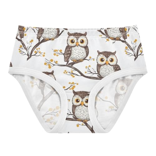 ZZKKO Branch Owl Girls Underwear Toddler Panties for Girls Comfort Brief Size 2T-8Y