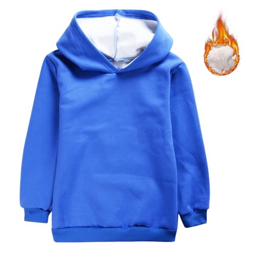 Fall Winter Basic Sweatshirts for Boys Girls Causal Comfy Solid Color Hoodie Teen Girls Athletic Outdoor School Trendy Outfit2