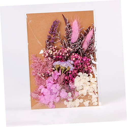 Kit de flores secas para manualidades miniatura 7