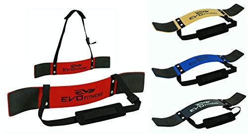 EVO Fitness Arm Blaster for Biceps & Triceps Body Building, Muscle Strength Gains, Contoured and Adjustable bicep blaster for Curling & Weight Lifting, Well Balanced Support with Adjustable Strap