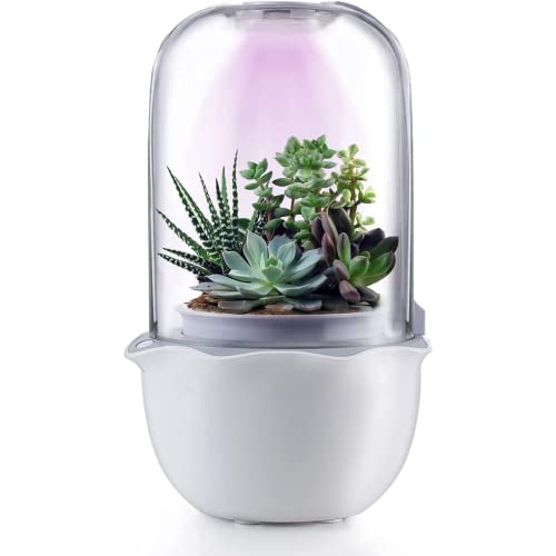 Ninfa - Maceta inteligente para suculentas y plantas pequeñas con luz de...