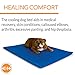 K&H Pet Products Cool Bed III Dog Cooling Mat, Indoor Outdoor Cooling Beds for Medium Dogs, Chilling Pet Pad for in Home, Outdoor Houses, Crates, Yards, Porches - Medium 32 X 22in Chill Blue