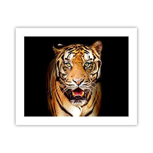 ARTTOR Affiche Decoration Murale Moderne Poster sans Cadre 50x40cm tigre animal Deco Affiches Murales Wall Art Design Tableau Decoration Salon Chambre Cuisine...