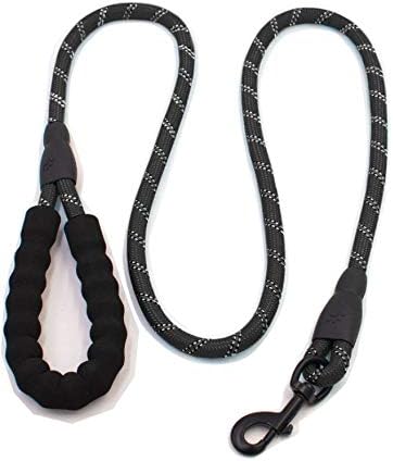 Otis & Claude Reflective Dog Leash - Durable Rope, Padded Handle, Highly Reflective for Night Visibility - Reinforced Stitching - 5 Feet…