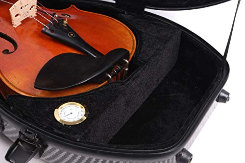 Professional Violin Case Carbon Fiber