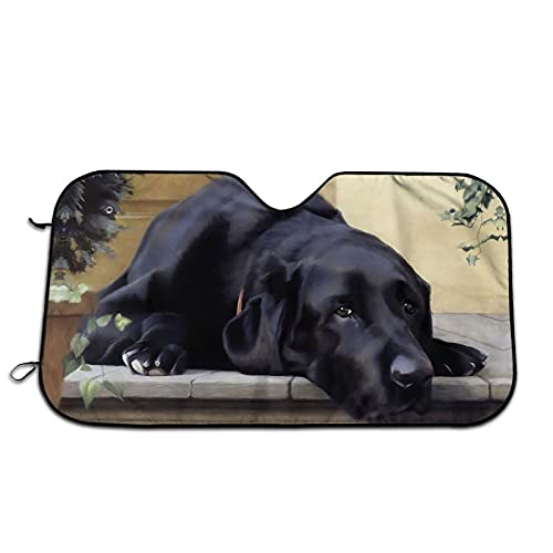 ̃uh[ ԗpTVF[h ԑ悯 J[VF[h UVJbg Ռ fM Ăh~ hO ÓdC tȒP z2t