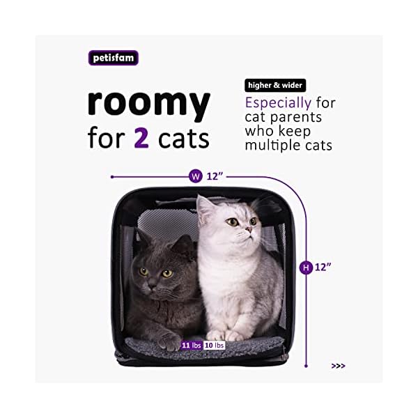 Soft Pet Carrier for Small Dogs