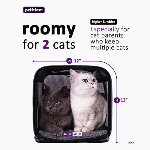 Soft Pet Carrier for Large and Medium Cats, 2 Kitties, Small Dogs. Easy to Get Cat in, Great for Cats That Don't Like… - Image 6