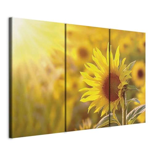 B&D XXL - Akustikbild Blumen Bilder Akustikschaum...