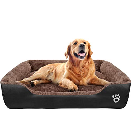 large dogbeds