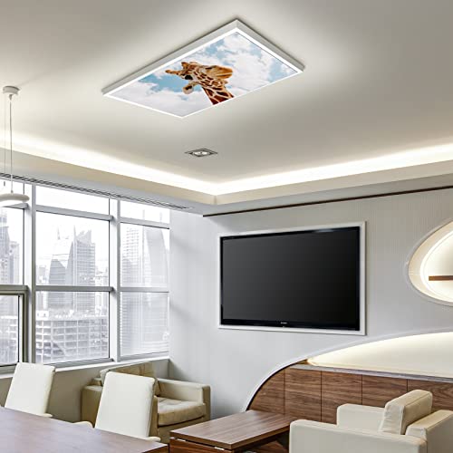 Image of Fluorescent Light Covers for Classroom Ceiling Lights - 2x4ft Backlit Film for Fluorescent Fixtures, Easy to Install - School, Office, Sensory, Improve Focus, Eliminate Headaches - Giraffe