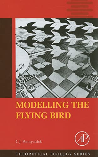 Modelling the Flying Bird view 2