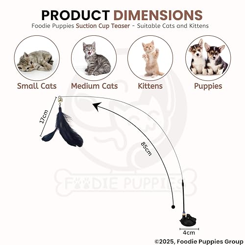 Image of Foodie Puppies Cat Teaser Playing Wand with Feather (Suction Cup Cat Teaser) for Cats and Kittens | Vibrant Interactive Bell Hanging Spring Wand | Fun Teasing, Catching, Chasing and Bonding Play