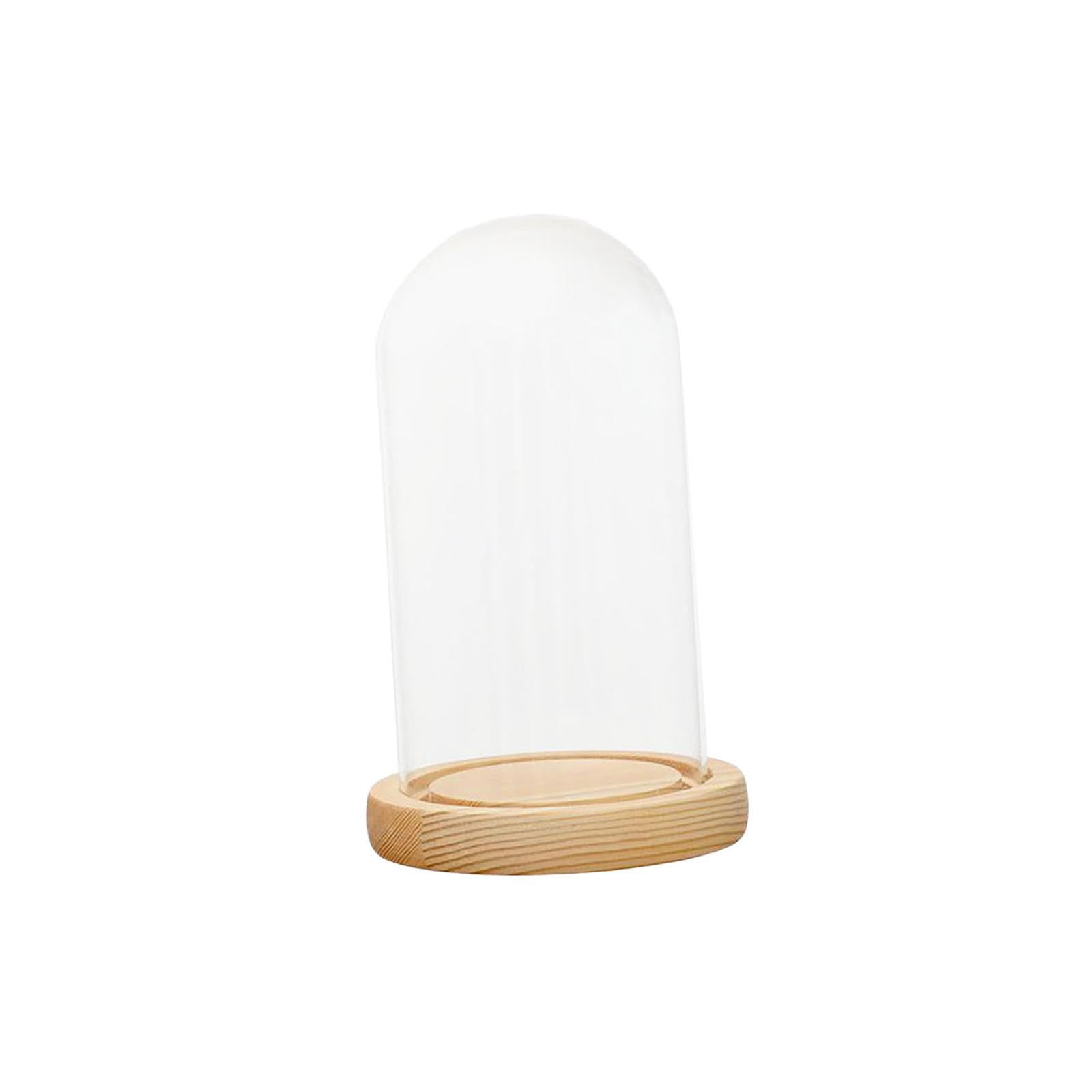 Cloche en verre anti-poussière avec socle en bois dôme transparent 12x25cm
