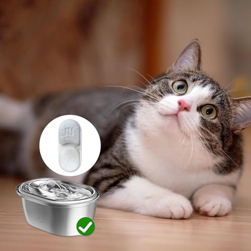 12 filtros de repuesto y esponjas compatibles para fuente de mascotas miniatura 3