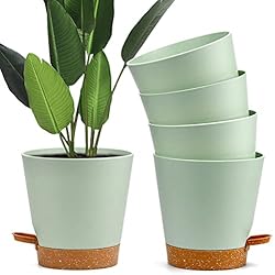 Maceteros Medianos Xiumeso 5 Macetas de Plástico con Autorriego, ø 15,2 x 11 Cm, Maceta Redonda para Interior y Exterior con Plato de Tanque de Agua, Bonsái de Flores de Jardín, Verde