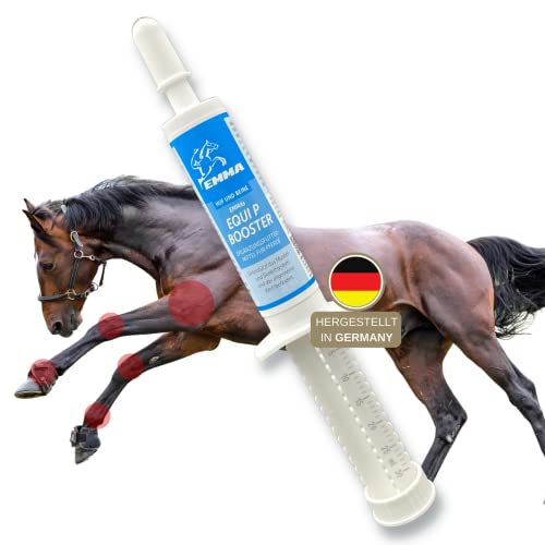 Wurmkuren für Pferde kaufen • Bestseller im Überblick 2022 testigel.de