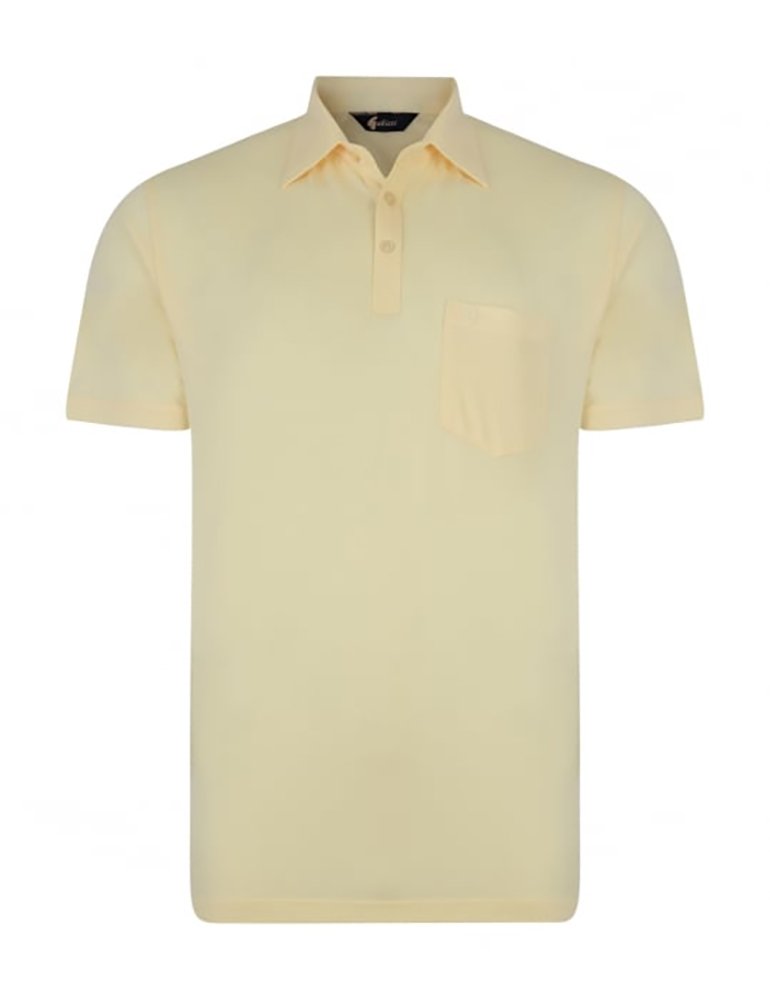 Gabicci Men's Corn - Plain Polo Shirt (Extra Large, )