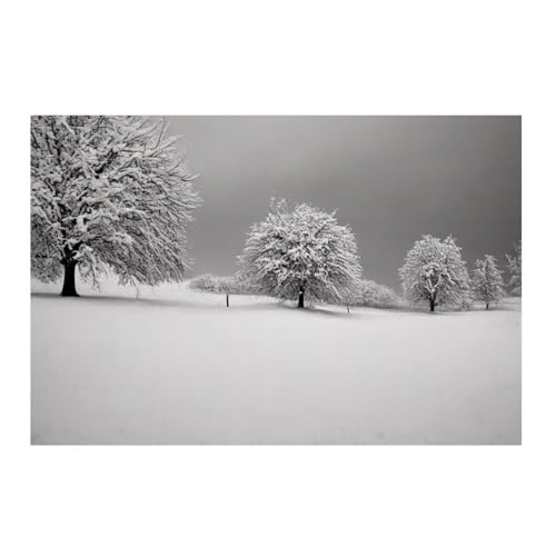 Poster forêt enneigée noir et blanc pour sublimer votre chambre