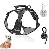 Chewie - Arnés cómodo para perro, ajustable, chaleco para perro con cinturón de seguridad reflectante, cómodo y sin tirones, para perros pequeños, medianos y grandes (negro, M)