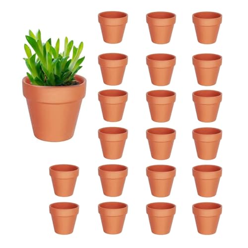 KHDULQ 20 pot en Terre Cuite, Godets semis Fleurs Terracotta Pots Peinture Graffiti, Trou Drainage, Réutilisable pour Semis et Jeunes Plantes