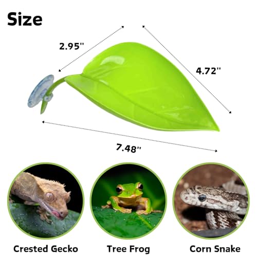 SEZDEKI Rede de répteis com ventosas cama suspensa de folha de plástico para lagartixa com crista la